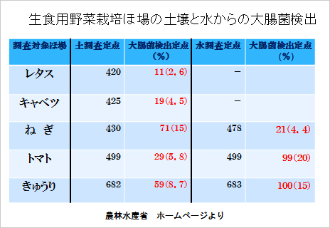 伊藤先生のご講演資料