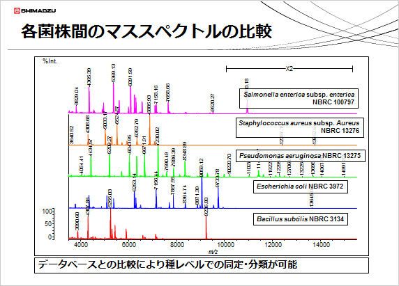 尾島先生のご講演資料