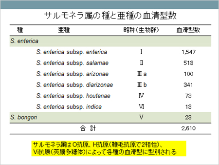 *1：サルモネラ属の種と亜種の血清型数