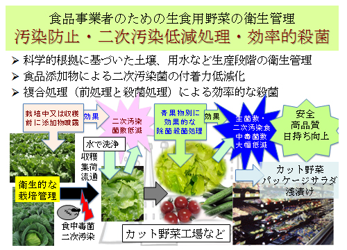 講演1：食品事業者のための生食用野菜の衛生管理