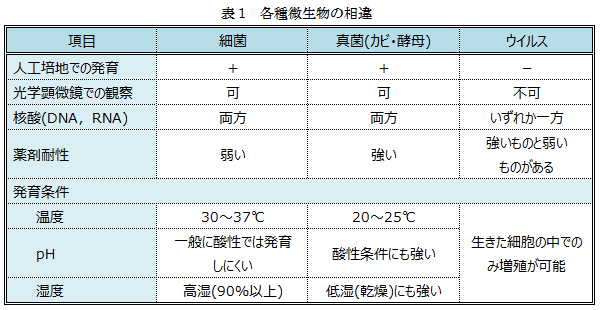 表1：各種微生物の相違