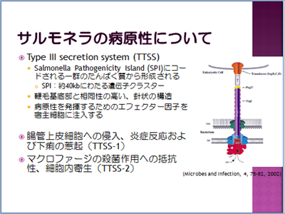 図表：標準法から通知法に採用されたサルモネラ試験法解説01