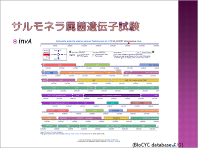 図表：標準法から通知法に採用されたサルモネラ試験法解説04