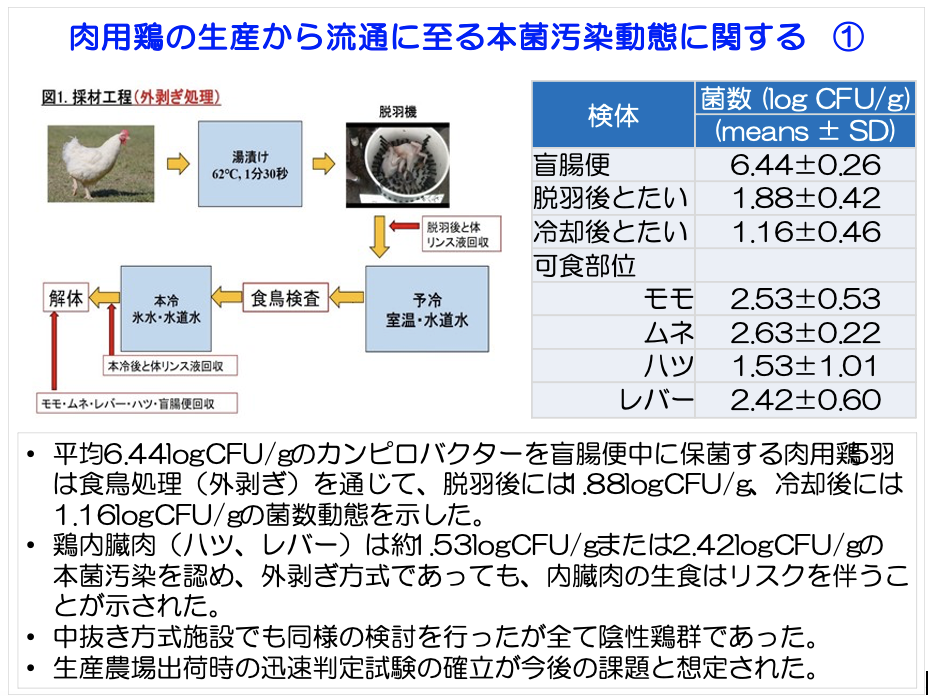 鶏肉等におけるカンピロバクター汚染低減対策とその有効性評価について：スライド3