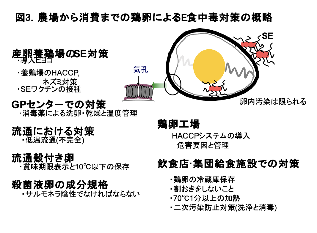 公衆衛生活動と食品衛生　特に微生物による食中毒について：スライド4