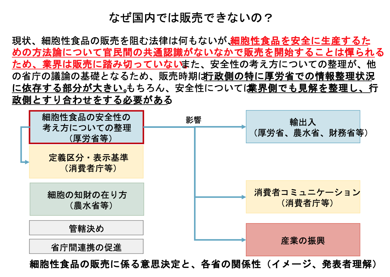 講演２スライド：なぜ日本で販売できないのか