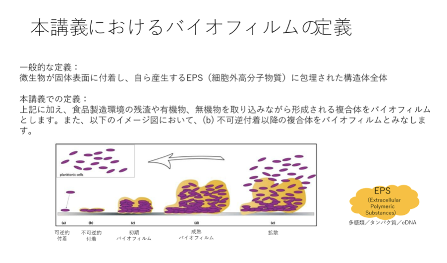 図：本講義におけるバイオフィルムの定義